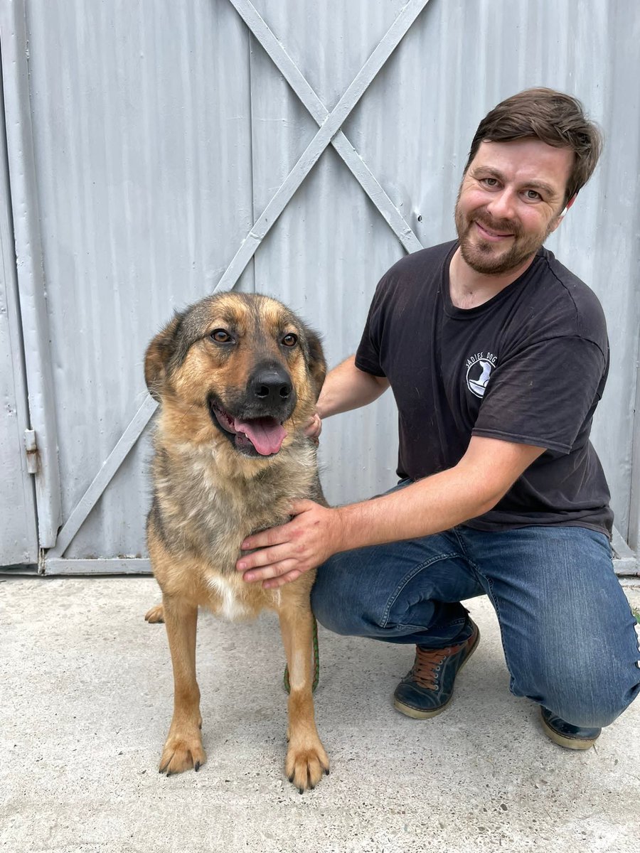 Forget #Caturday! Happy 12th July, indeed! Something nice for the weekend! 🥰

After 4 loooong years of patiently waiting for a home, our BIG boys (Blade &amp; Loppy) are now home &amp; have been reunited with their sister, Ingrid! 😍🥹🎉 🧵 1/2...

Pls share this very happy news! 🙏💞