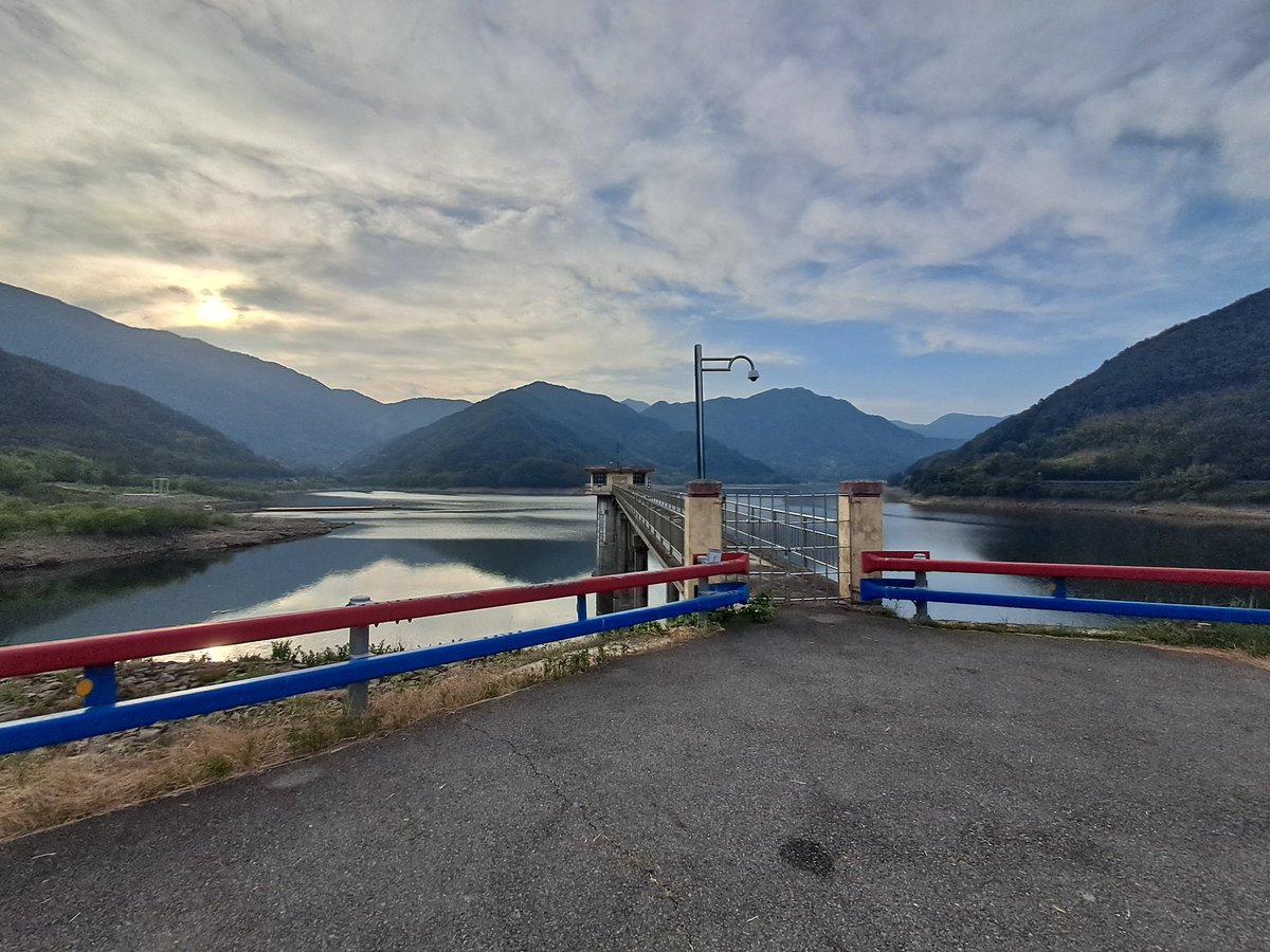 𝓰𝓲𝓶𝓵𝓮𝓽_ tweet media