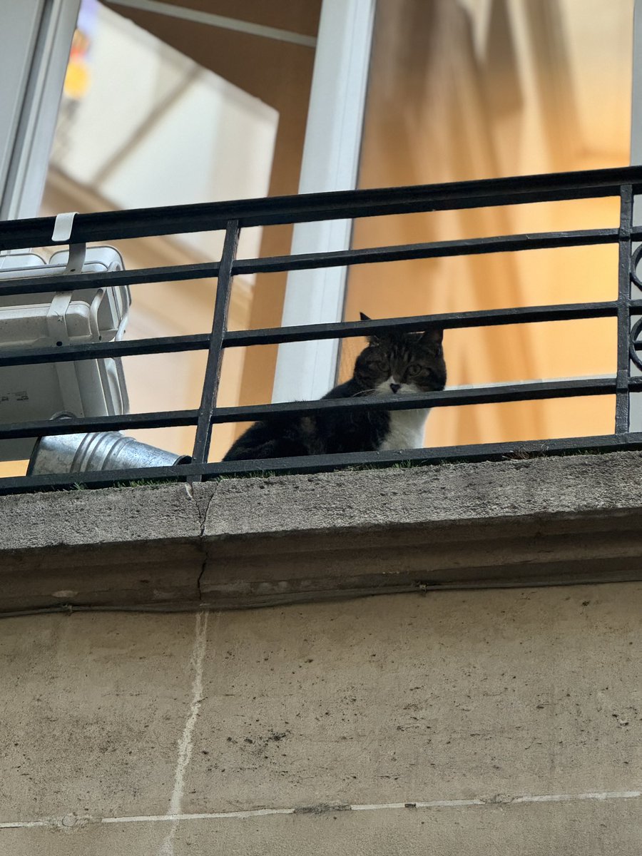 Watching your trades from above.

Don’t disappoint me.🐱