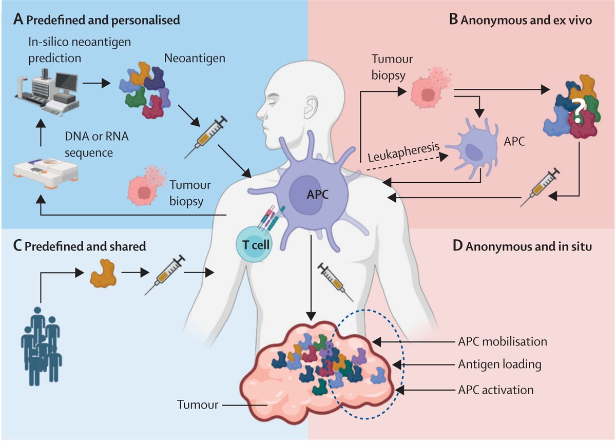 🗨️ “Vaccines have done more to improve public health than any other medical intervention.”

A Viewpoint focuses on cancer vaccines and the future of immunotherapy—analysing trials, different vaccine approaches, and how the next generation of cancer vaccines can help improve