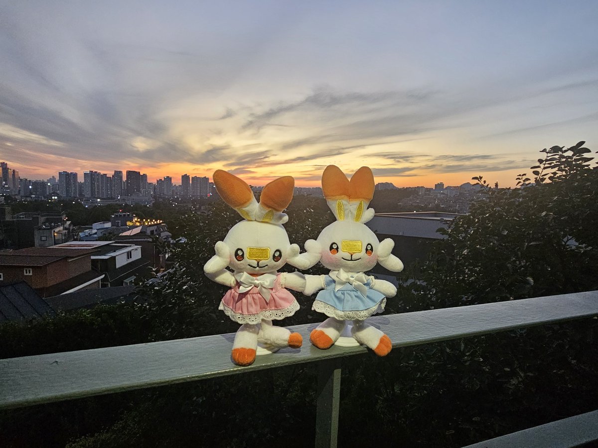 #ポケモン #ポケぬい #ブニとブギ
夕焼けがきれい~