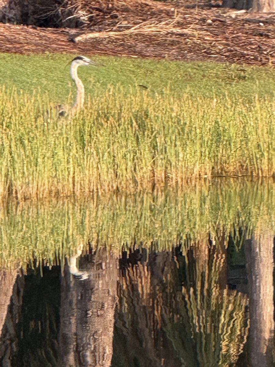 Mornings on the course.