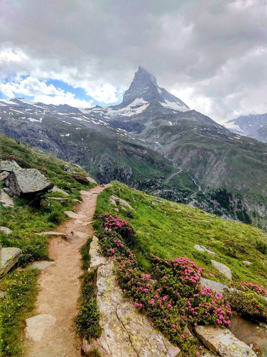 HikingSchweiz's tweet image. Four views of the mighty Matterhorn from walks above Zermatt, Switzerland 🇨🇭