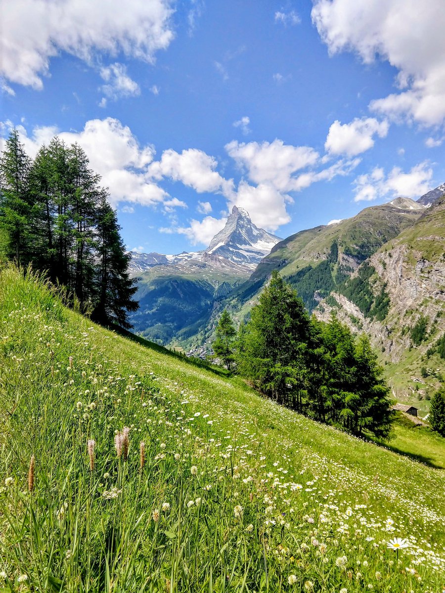 HikingSchweiz's tweet image. Four views of the mighty Matterhorn from walks above Zermatt, Switzerland 🇨🇭