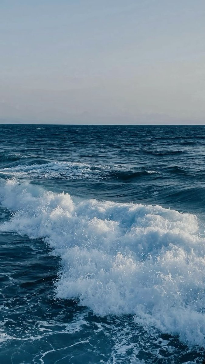 ocean (@hawsett4) on Twitter photo 