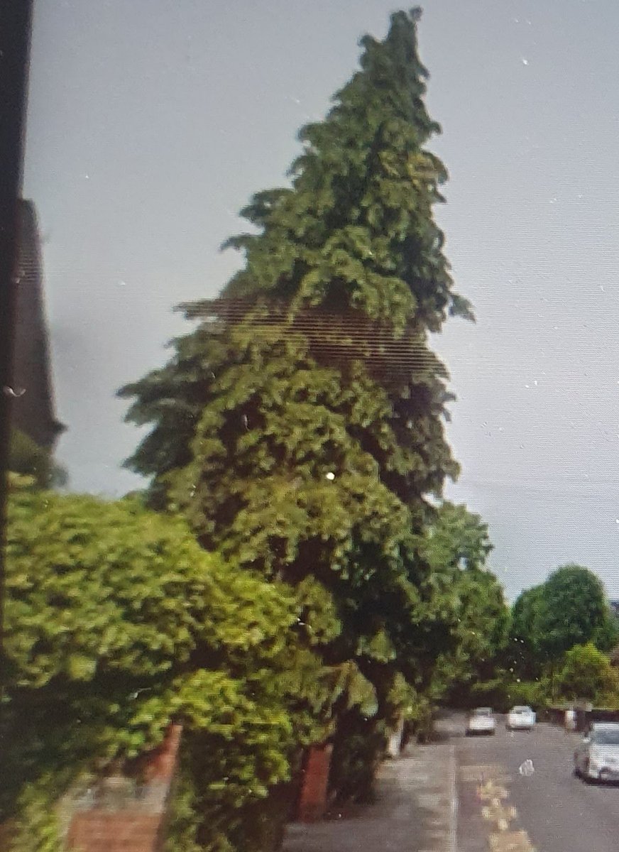 MickBrown3's tweet image. After a busy roving bureau including supporting several resident impacted by a large tree and catching up with a local Police officer, off to meet Wayne Henry and the amazing Pheonix United.