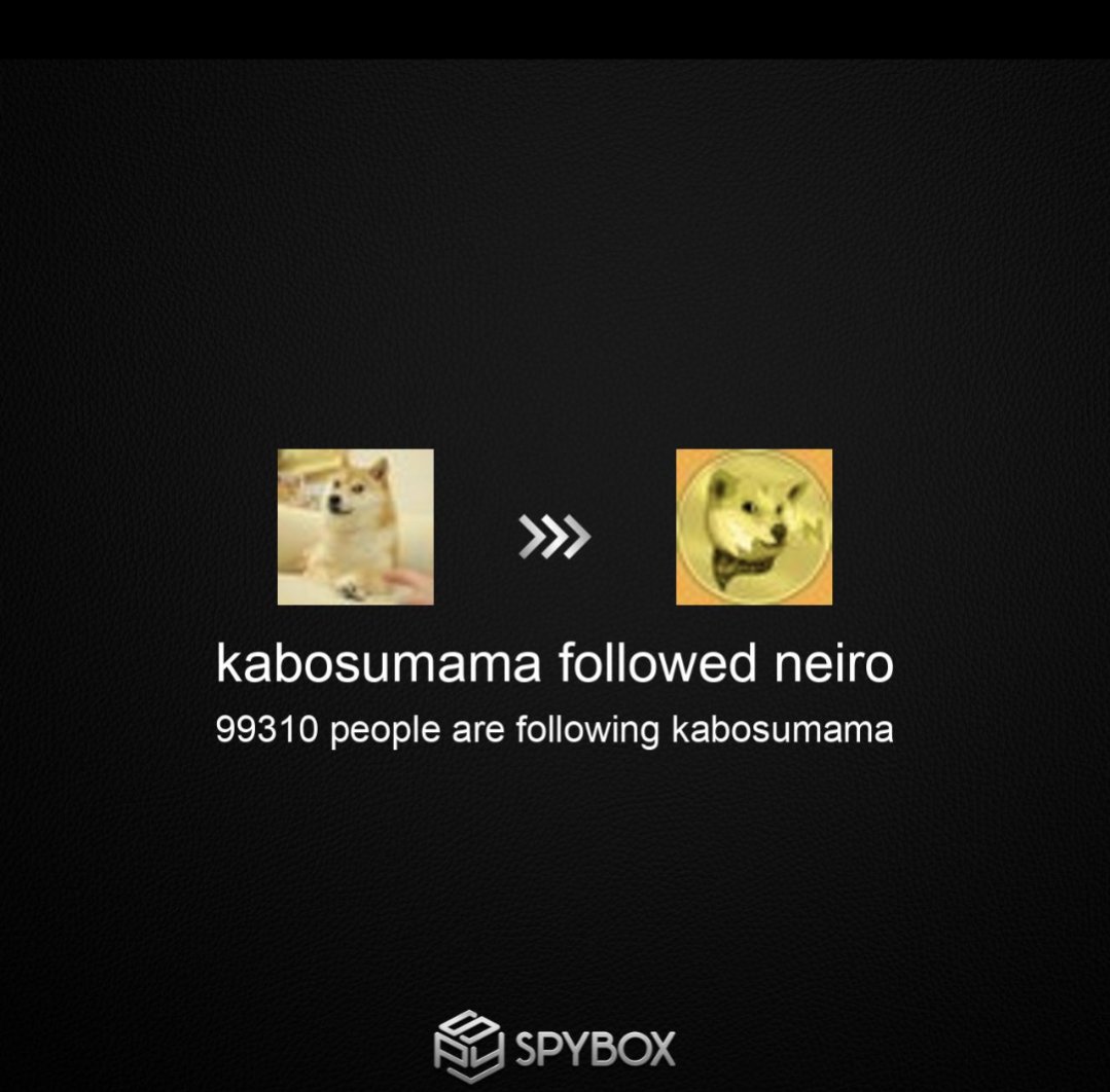 WALSHEEY's tweet image. Welcome @kabosumama to the @neiro X community.
A privilege to have you with us, and we look forward to Doing Only Good Everyday with you, long in to the future
$neiro