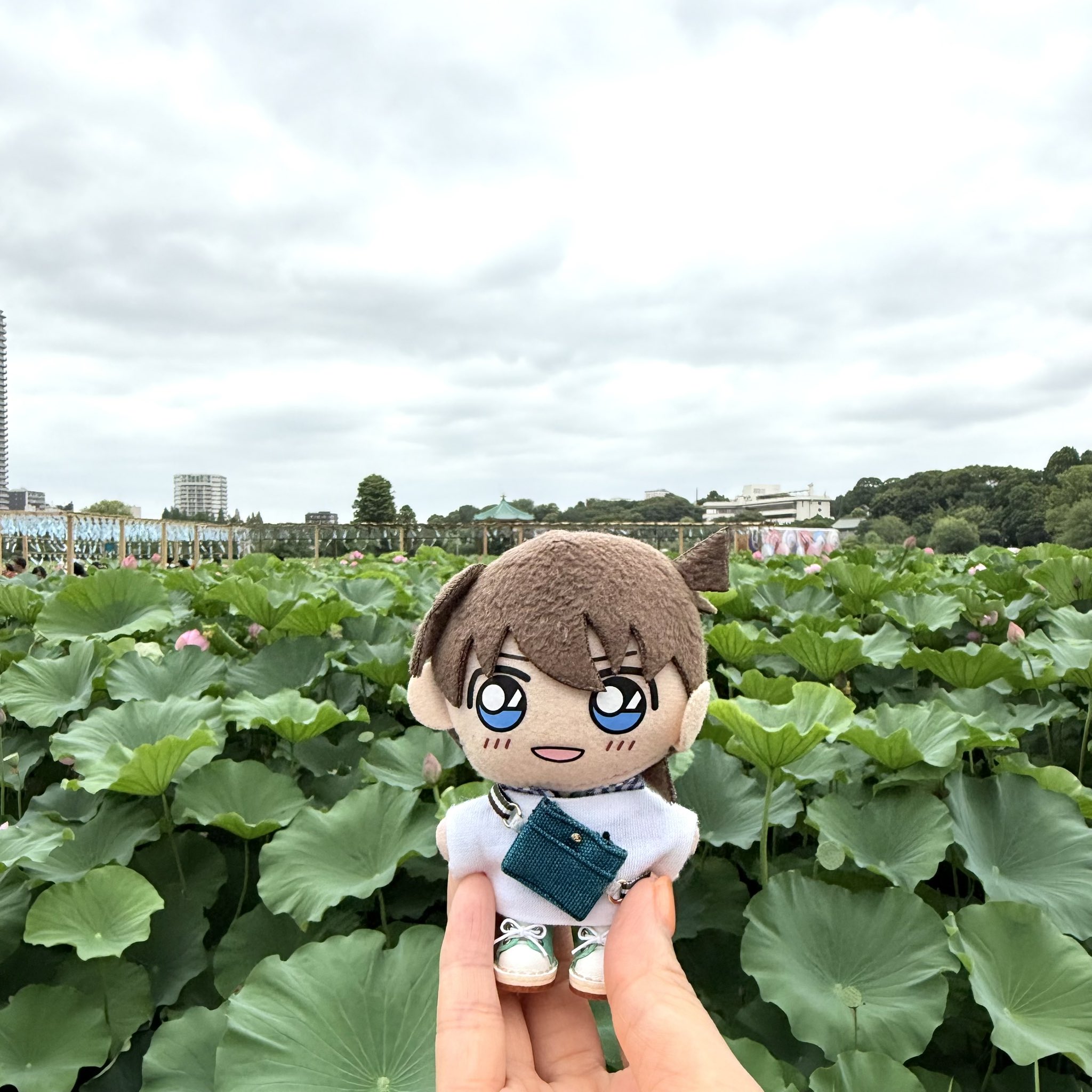 ⭐︎ランランページひ⭐︎のびねこ他⑥ 五十嵐健太@飛び猫®︎ on X: 