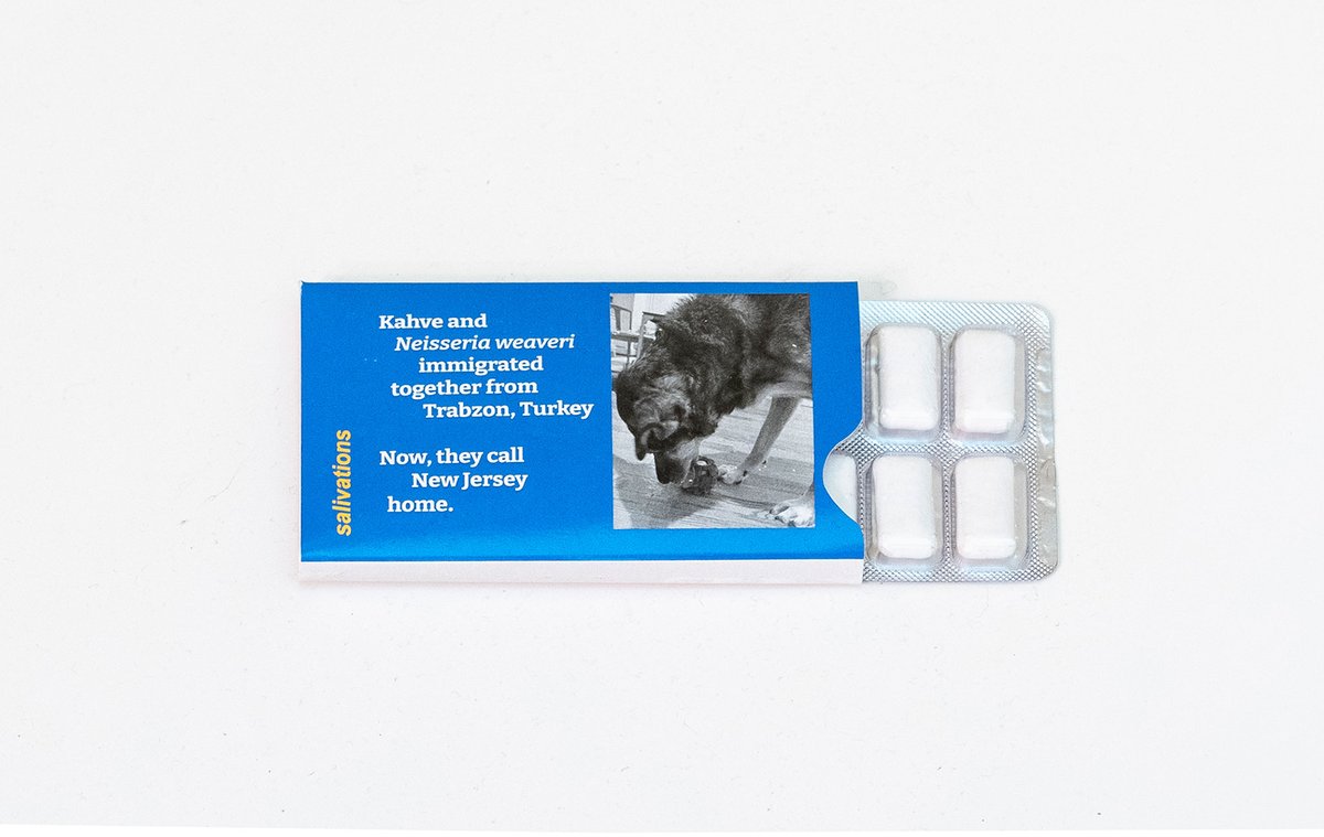 En el marco de la 24ª Exposición Internacional Trienal de Milán «Inequalities» / (Desigualdades), el equipo de elii [oficina de arquitectura], junto al artista y biodiseñador Orkan Telhan,  presentó «Salivations» / (Salivaciones), un proyecto de investigación  que explora uno de