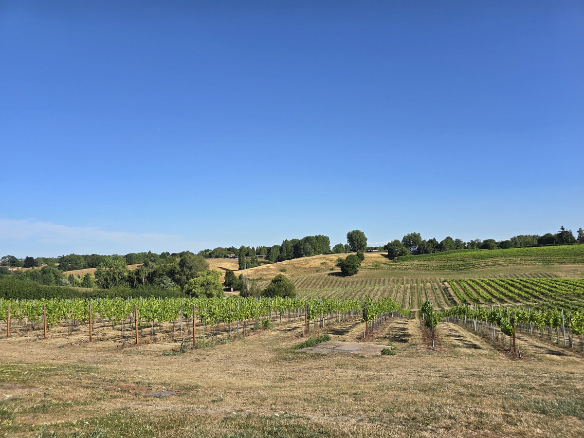 DrSeanMon's tweet image. Astonishingly, this is England.
Weekend away at a vineyard with @hlnewey
🍷🍷🍷🍷🥂🥂🥂🥂
