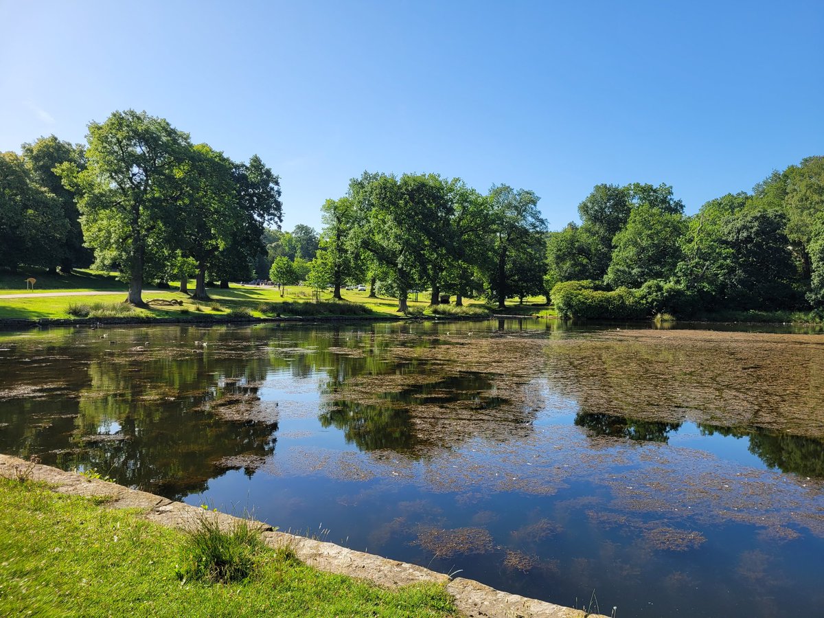 What a morning to pick <a href="/lymeparkrun/">Lyme Park parkrun</a>, such  beautiful park with incredible views but wow! It was hot on that climb out from the start. Huge thanks to the very welcoming marshals, we couldn't enjoy it without you <a href="/parkrunUK/">parkrun UK</a> <a href="/UKRunChat/">UKRunChat</a> #parkrun #MentalHealthMatters