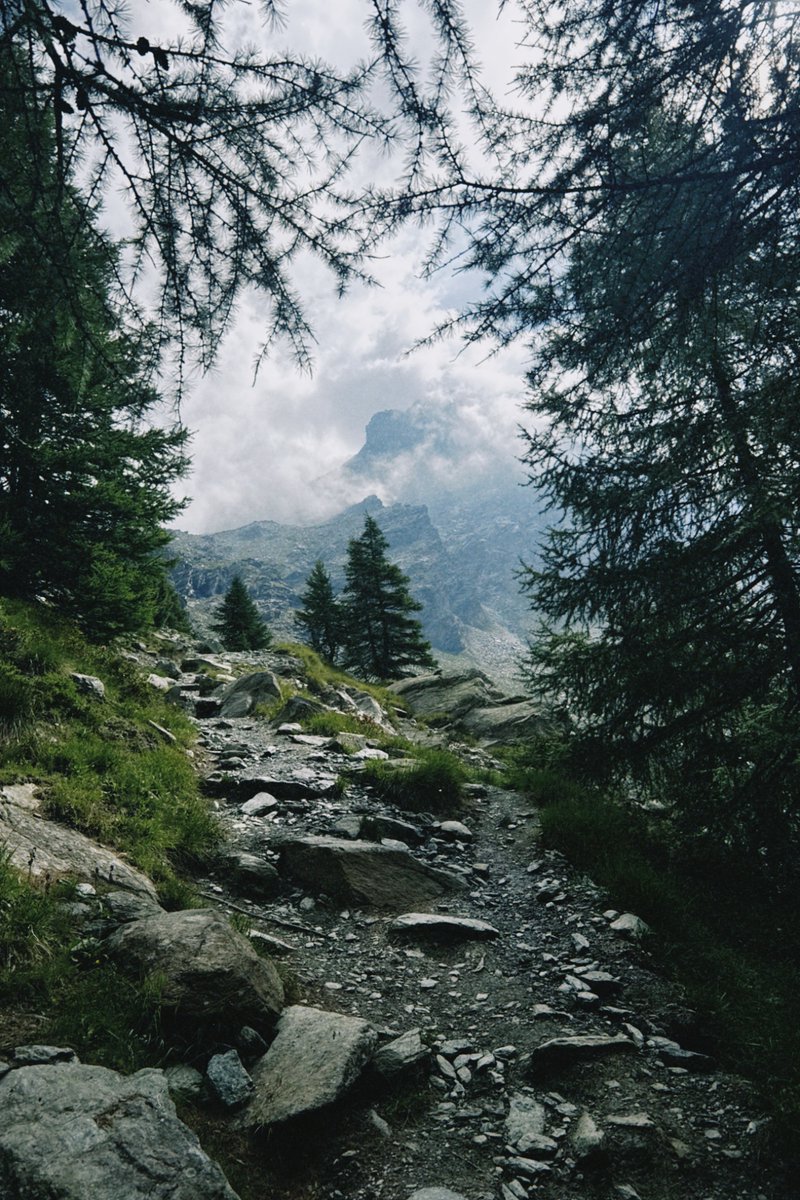 alexkibb_'s tweet image. iPhone shots from my hike in the Dolomites