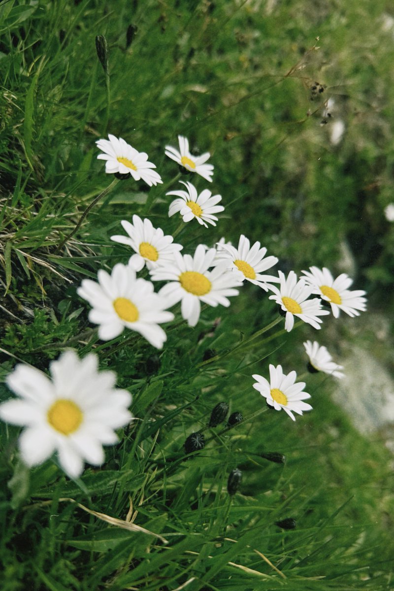 alexkibb_'s tweet image. iPhone shots from my hike in the Dolomites