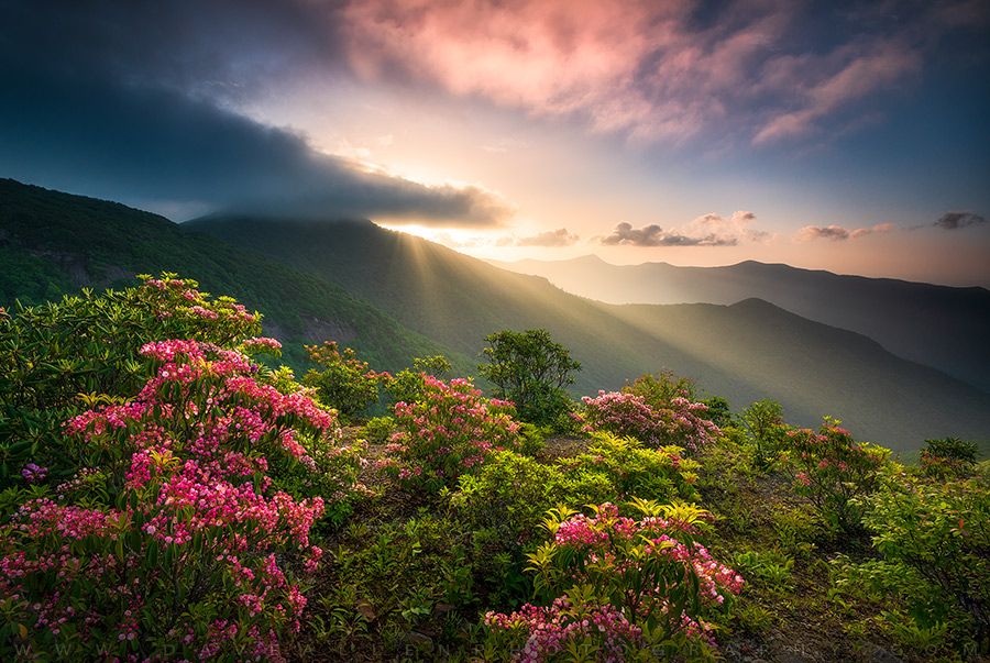 DaveAllenPhoto's tweet image. Anybody else wishing they were up in the mountains this weekend?  Hope you&apos;re all getting out and seeing the good stuff somewhere! 😀  #photography
