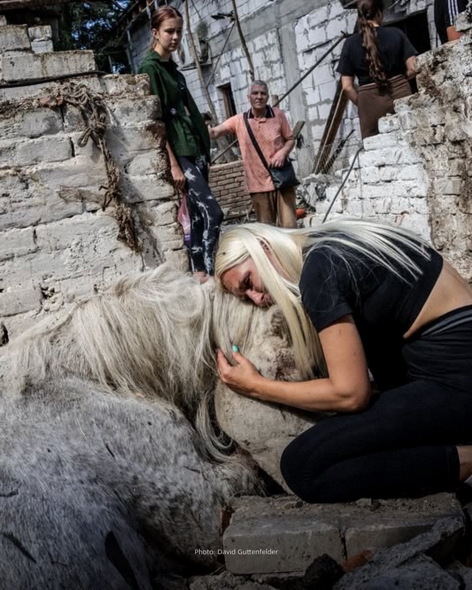 "She was just that kind of friend – one for life. And now... everything is destroyed," shares Yuliia, the owner of a horse club in Odesa that was damaged in a Russian attack on July 11.

The mare who was killed was named Camellia. She was 20 years old and had spent 12 of those