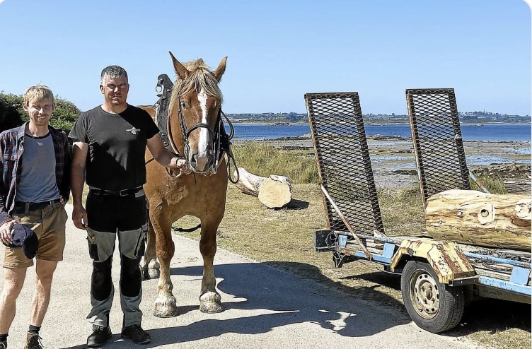 ☝️🏖️ « C’est plus sympa de travailler avec des chevaux qu’avec un tracteur » : sur l’île Callot, des bancs livrés à la force du sabot [Vidéo]

ow.ly/Ta9C50WoKj6