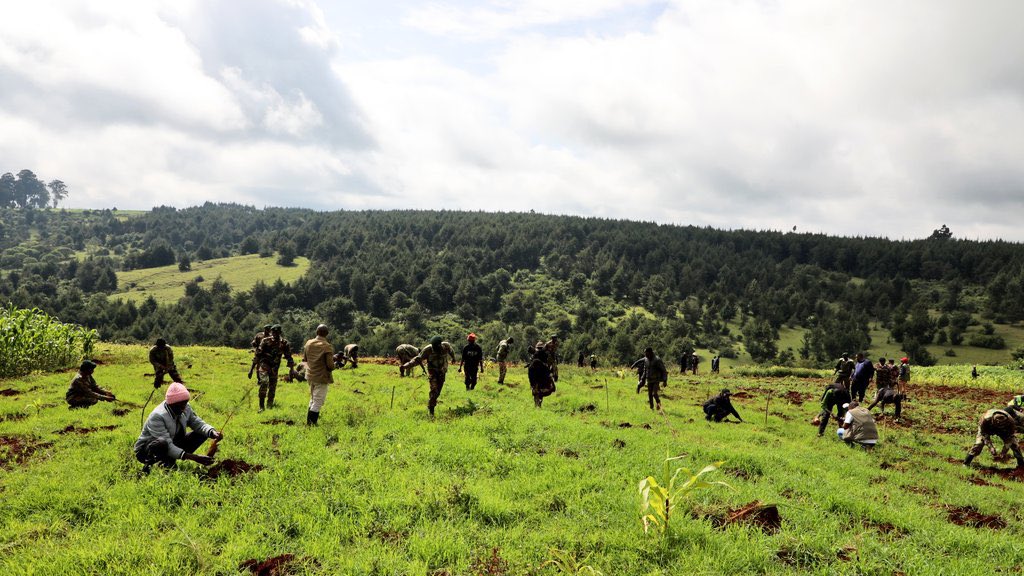 YouthFund_Ke's tweet photo. 1/5
The Youth Fund joined President Dr. William Samoei Ruto, senior government officials, CEOs, community members, and learners in the 9th Kaptagat Forest Tree Growing Event at Simotwo Boys High School. The Fund contributed 3,000 seedlings toward the 15 billion tree target. https://t.co/VJ8n10cD2v
