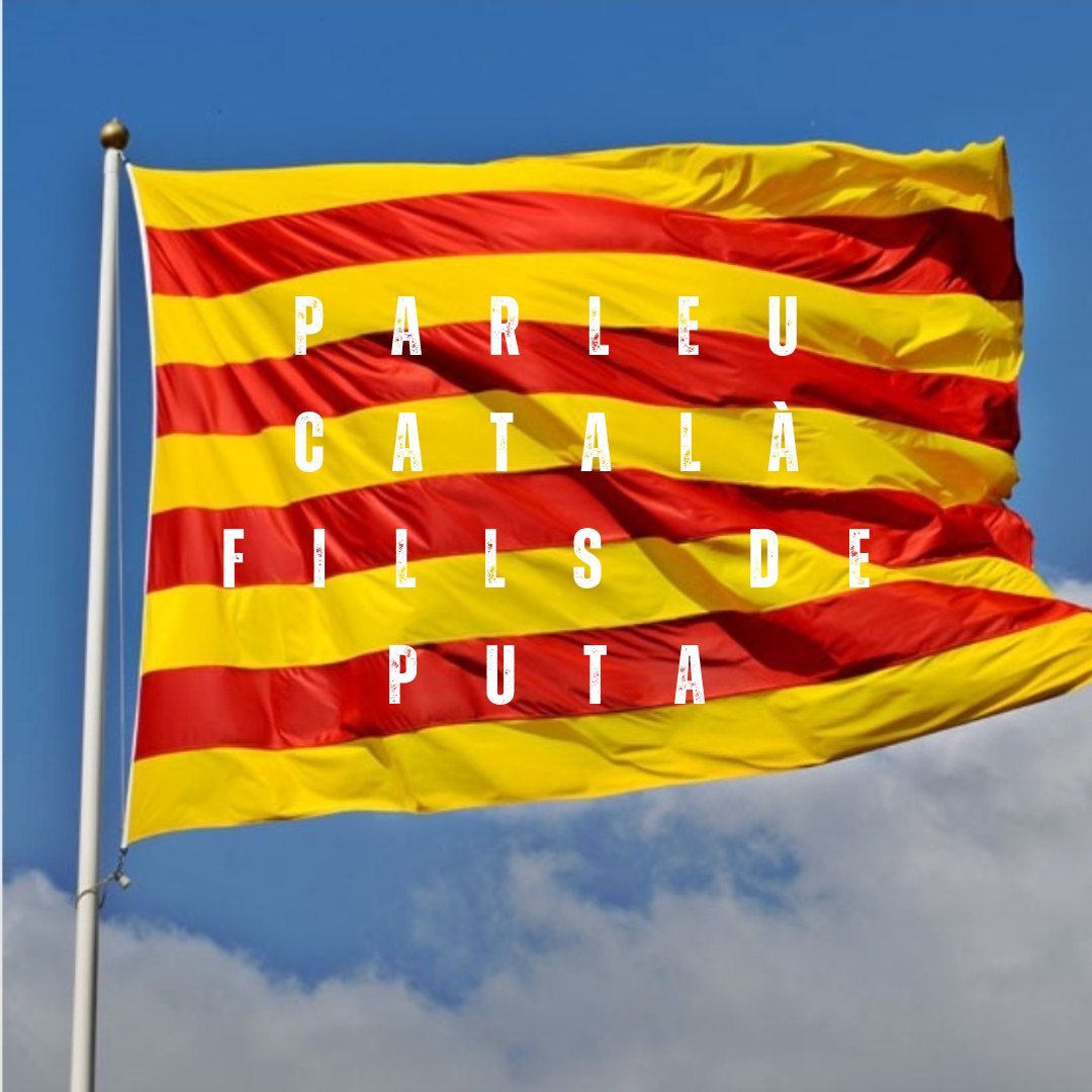 Judit (@judit51015026) on Twitter photo 