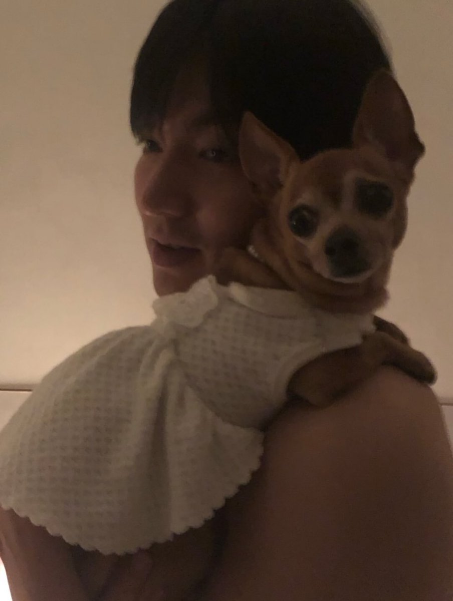 lmhexclusiveph's tweet photo. Fly High Choco Dear 😢
[July:12:2025] 
Lee Minho Official sns update Instagram

Reposted from @actorleeminho
사랑하는 초코가 주어진 16년의 시간을 끝으로, 자연의 품으로 돌아갔습니다. 함께한 시간이 행복했길 바라며, 초코를 사랑해주셔서 늘 감사했습니다.

https://t.co/nLOmhFqKA6 https://t.co/GNwtxfC4WS
