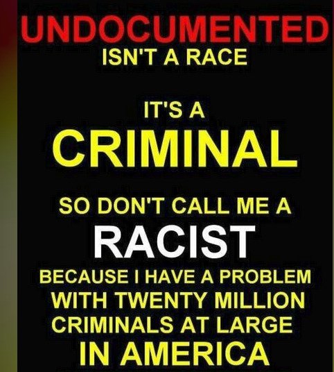 Just a psa: For those triggered over Alligator Alcatraz. 

Get tf out.
