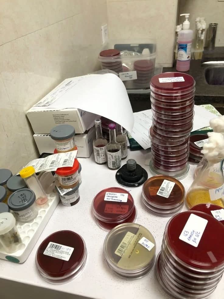 Lab 🧫🧪 Life 🧬