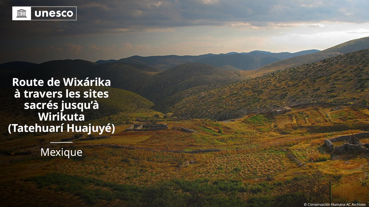 UNESCO_fr's tweet photo. 🔴 FLASH INFO !

Nouvelle inscription sur la Liste du #PatrimoineMondial de l’@UNESCO_fr : Route de Wixárika à travers les sites sacrés jusqu’à Wirikuta (Tatehuarí Huajuyé), #Mexique 🇲🇽.

➡️ https://t.co/gmj81aGlAD #47WHC https://t.co/OZNqPhfE4y