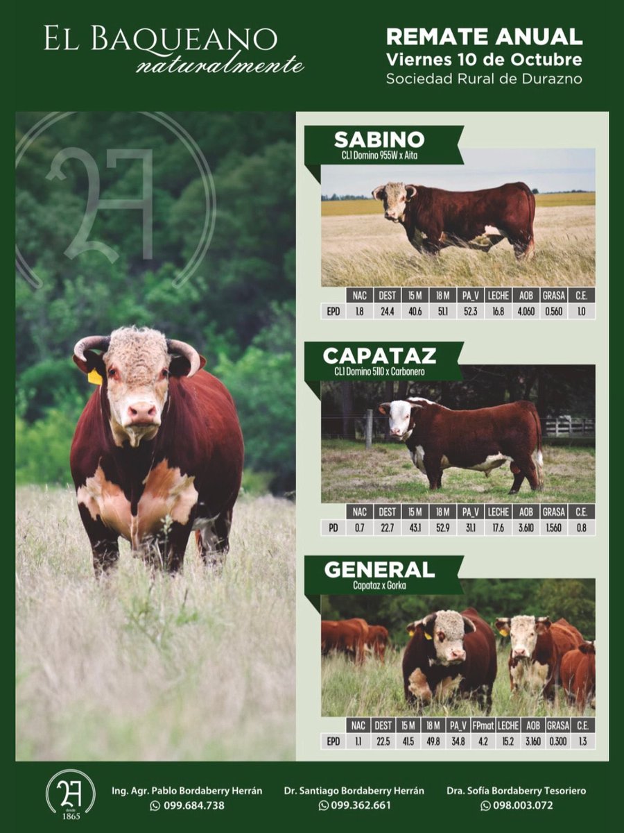 Santiago Bordaberry (@camperote) on Twitter photo 