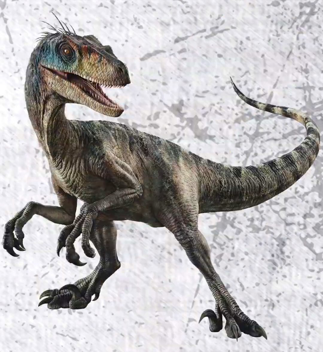 >> T. Rex gets sidelined
>> Velociraptors get focus and a beautiful redesign

*24 years later*

>> Velociraptors get sidelined
>> T. Rex gets focus and a beautiful redesign

Jurassic World Rebirth really is an alternate version of JP3