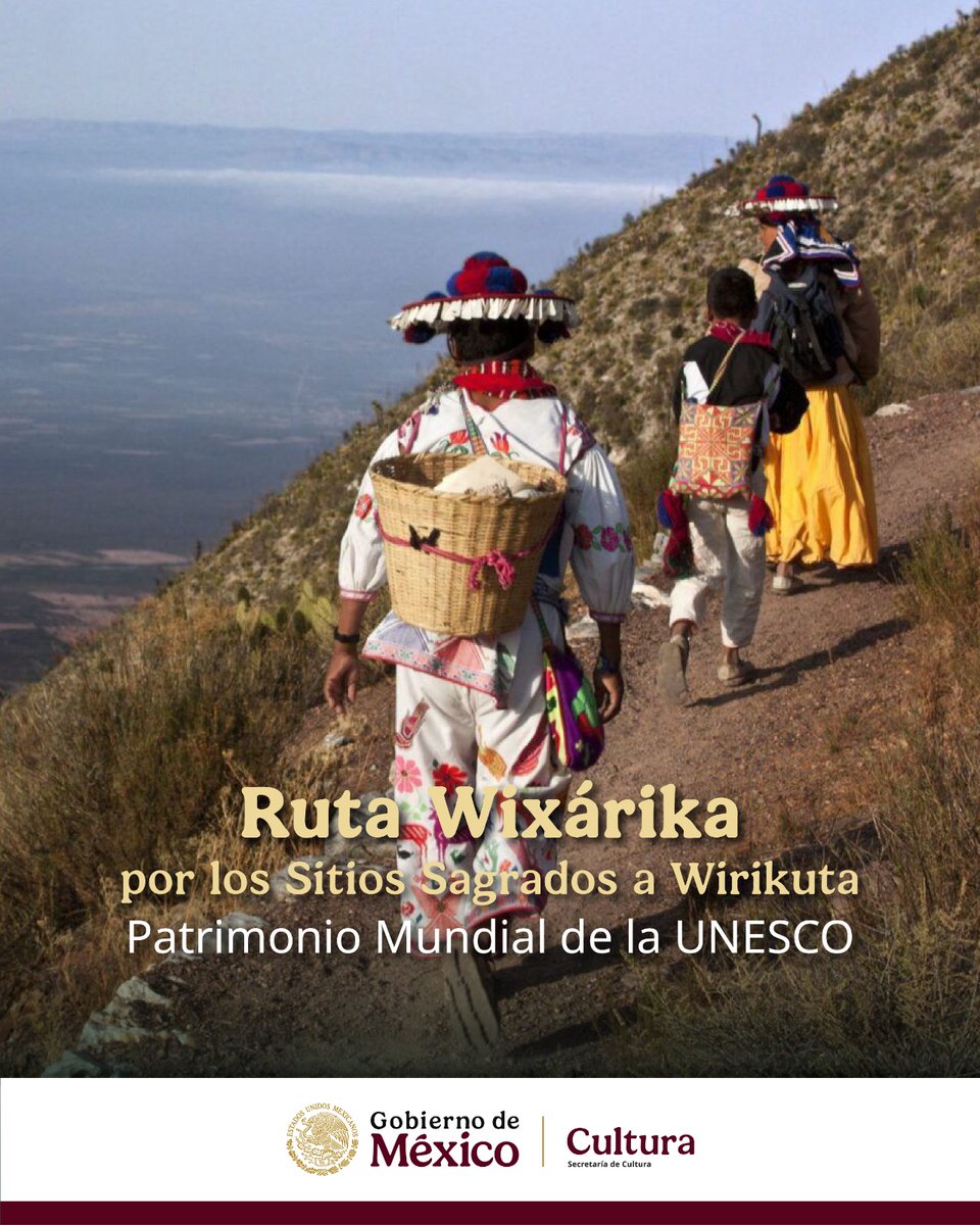 La Ruta Wixárika por los Sitios Sagrados a Wirikuta fue inscrita este sábado 12 de julio de 2025 en la Lista del Patrimonio Mundial de la UNESCO como Bien en Serie, reconociendo su valor excepcional como testimonio vivo de la memoria y las prácticas espirituales del pueblo