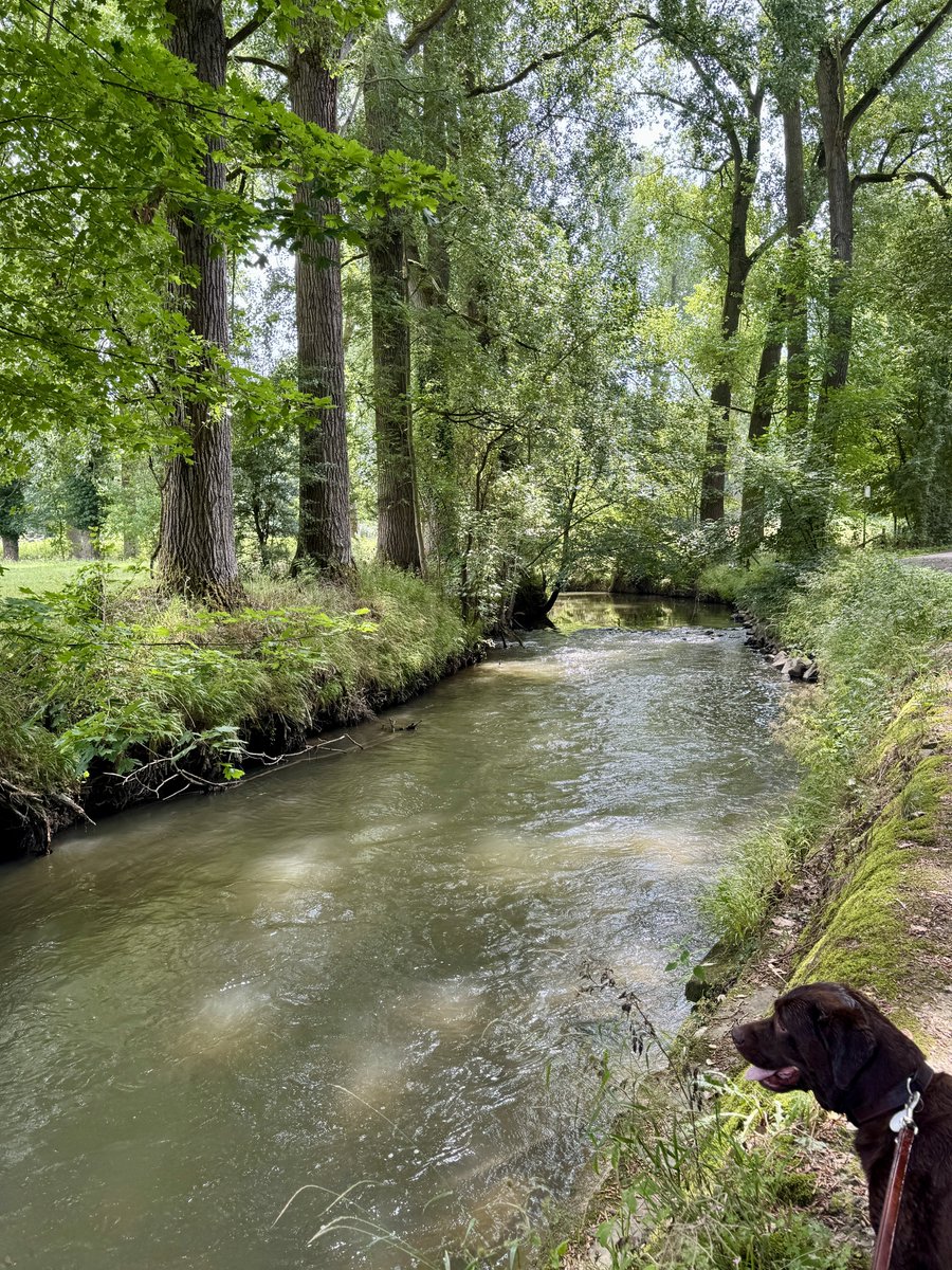 De Geul onder aan de Keutenberg <a href="/magnifiekZL/">Magnifiek Zuid-Limburg</a>