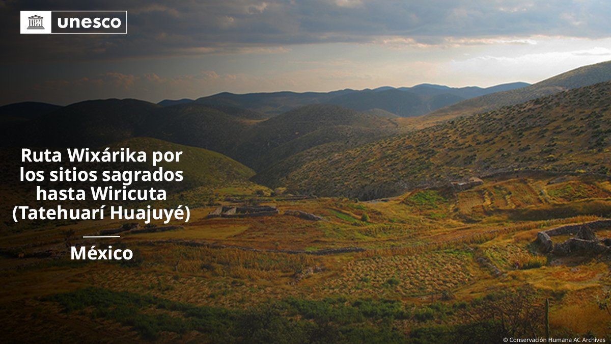 🔴 ¡ÚLTIMA HORA!

Nueva inscripción en la Lista del #PatrimonioMundial de la <a href="/UNESCO_es/">UNESCO en español 🏛️#Educación #Ciencia #Cultura</a>: Ruta Wixárika por los sitios sagrados hasta Wiricuta (Tatehuarí Huajuyé), #México 🇲🇽.

➡️unesco.org/es/world-herit… #47WHC