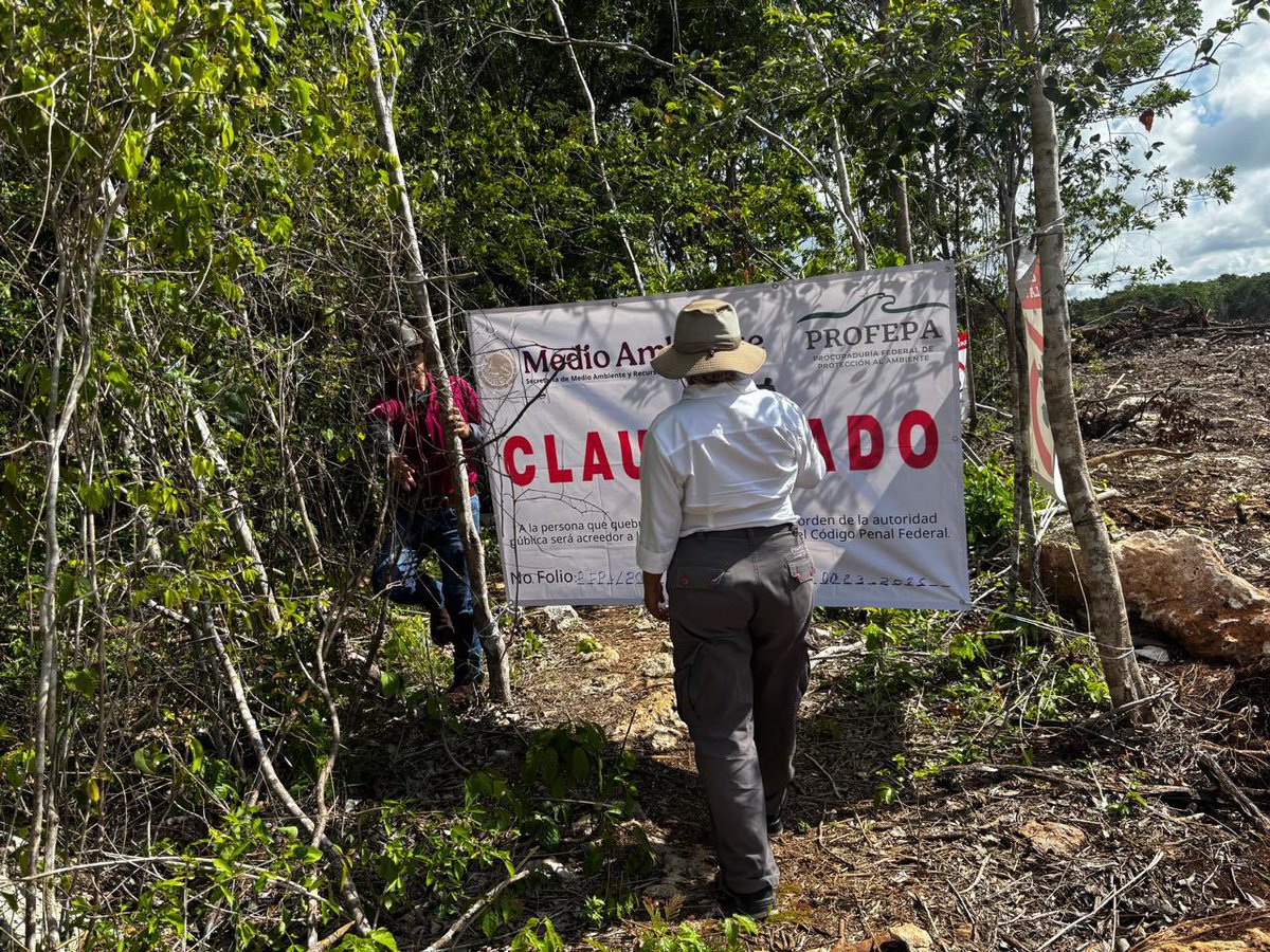 Guillermo DChristy 🇲🇽🇺🇦 🇮🇷 🇬🇧 tweet media