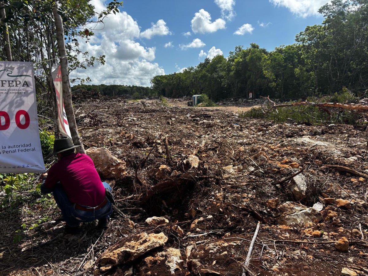 Guillermo DChristy 🇲🇽🇺🇦 🇮🇷 🇬🇧 tweet media