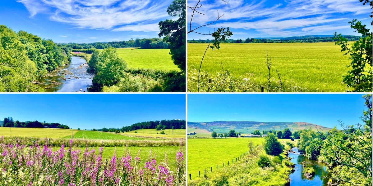 Today, Huntly💙 #walking #summerwalking #toohottohike #huntly #clashmach #riverdeveron #aberdeenshire #walkingaberdeenshire