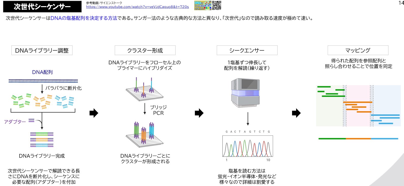 医学部学士編入塾Cell@予備校🧬 on X: 