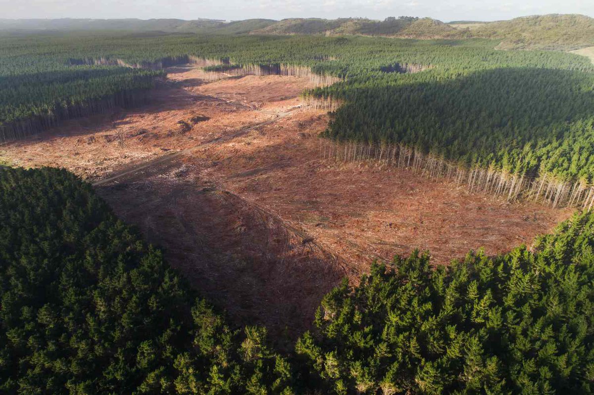 Every life form on Earth is set to become progressively poorer as our collective ecological inheritance is dismantled piece by piece and sold off to the capital markets before they too, shoot themselves in the head.
open.substack.com/pub/georgetsak…