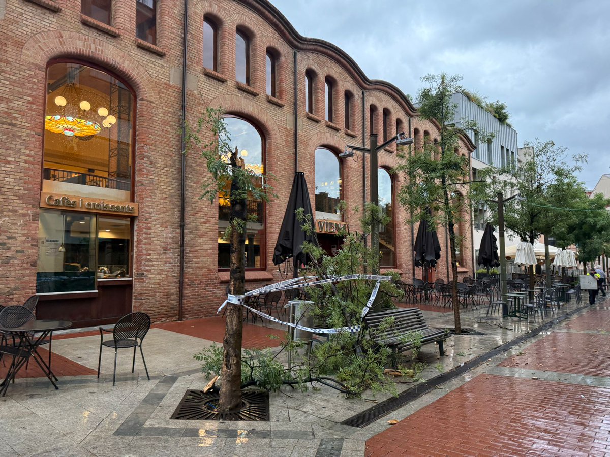⛈️| Branques i arbres caiguts, depreniment de trossos de façana i inundacions de baixos, les afectacions de la Dana a #Terrassa 

terrassadigital.cat/alerta-per-ris…