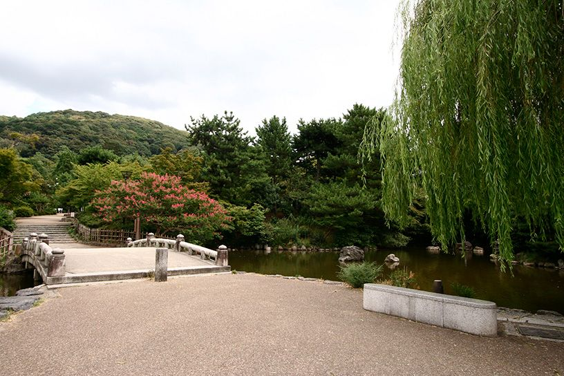 luck.lens(🌸, 🌿) tweet media