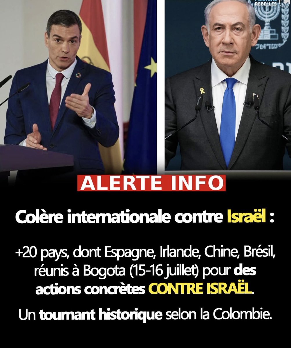 CharretChristo1's tweet image. L’Espagne, l’Irlande et plus de 20 pays se réunissent pour des mesures concrètes contre Israël. Le Groupe de La Haye, incluant la Chine, la Turquie, le Brésil, passe à l’action collective.
