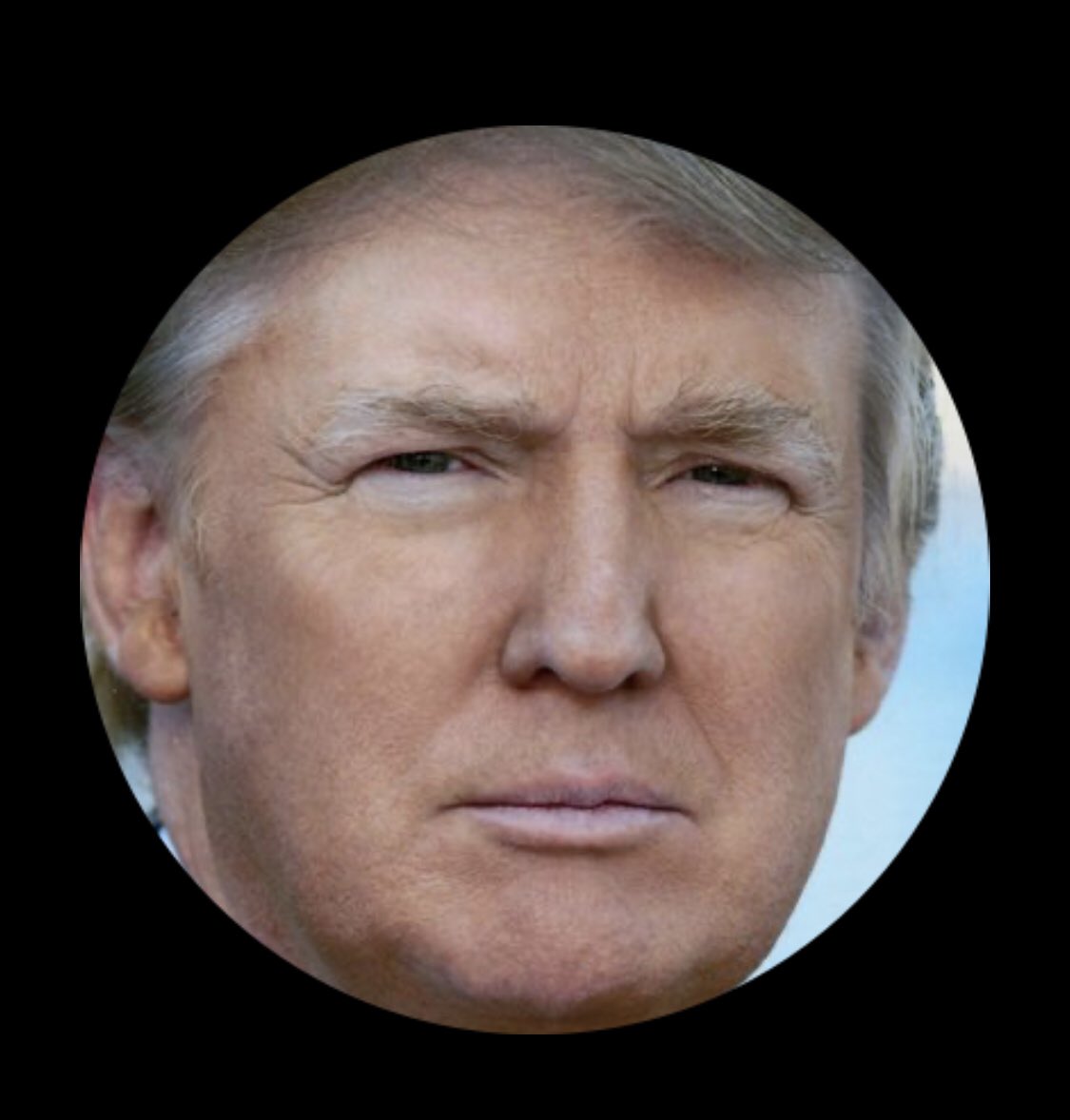 times_joey's tweet image. Dear America, 
Introducing to you our era’s Richard Nixon.
#Pedogate
#TrumpPedoFiles 
#Impeach