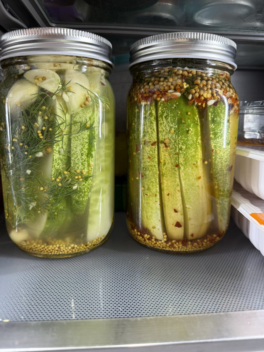 For those that have been asking for a cucumber update – here she is! Was gone for a week with my kids and all these babies popped up in the garden so naturally we made pickles last night 🥒