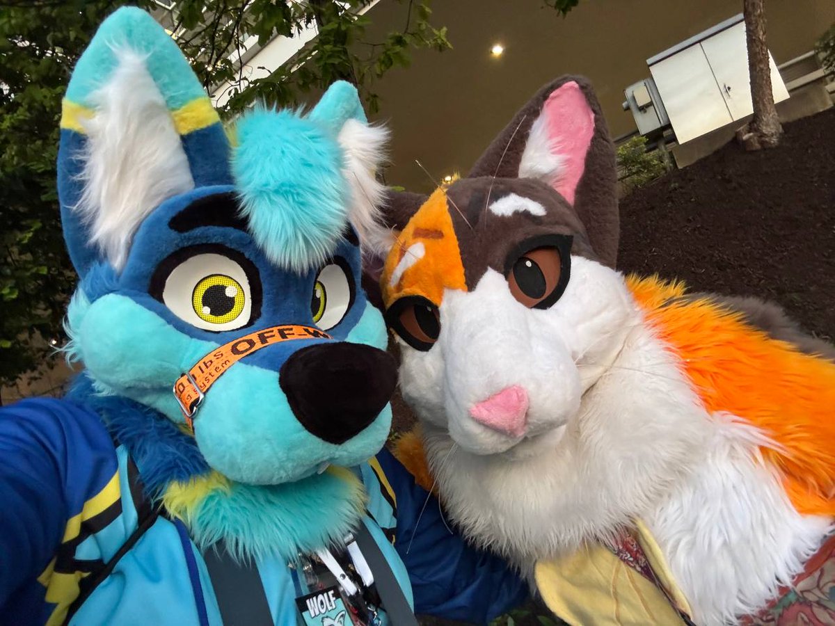 cyanthetortat's tweet image. Obligatory AC post! Had a great time, probably my fav year there so far! Thanks to the friends and the roomies that made it a blast #AC2025