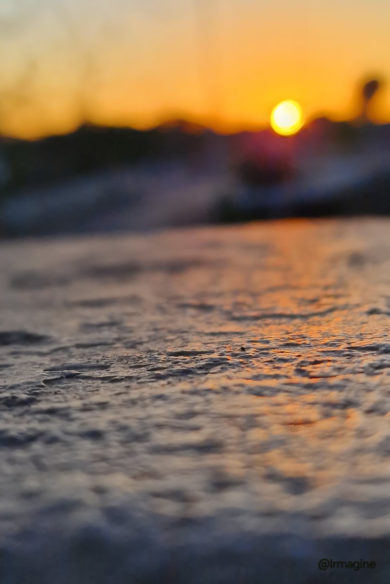 Good evening, friends 🌞 🌹
🌜