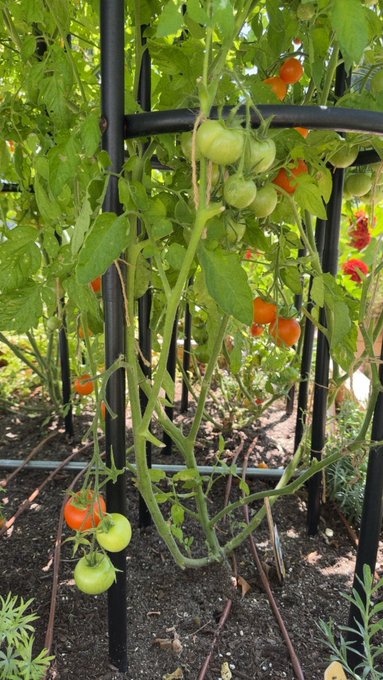 3 pic. I know you guys think that all I do is suck dick, but here are some very wholesome things I worked<a href="/tag/pornhubawards2025"class="tags"><span>#pornhubawards2025</span></a>