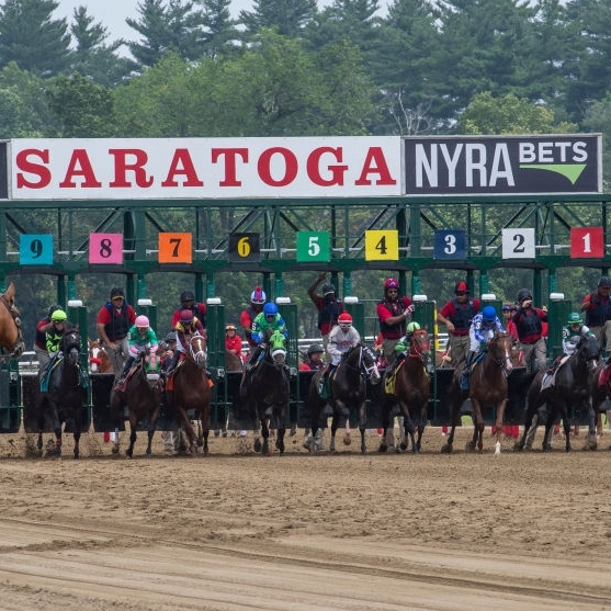 OutKickBets's tweet image. And they're off! @Geoffery_Clark gives out his picks for three races at Saratoga Saturday, including the Grade 2 Bowling Green and Grade 1 Diana Stakes
'Diana Day' Bet Slip
👇👇👇
outkick.com/betting/saturd…