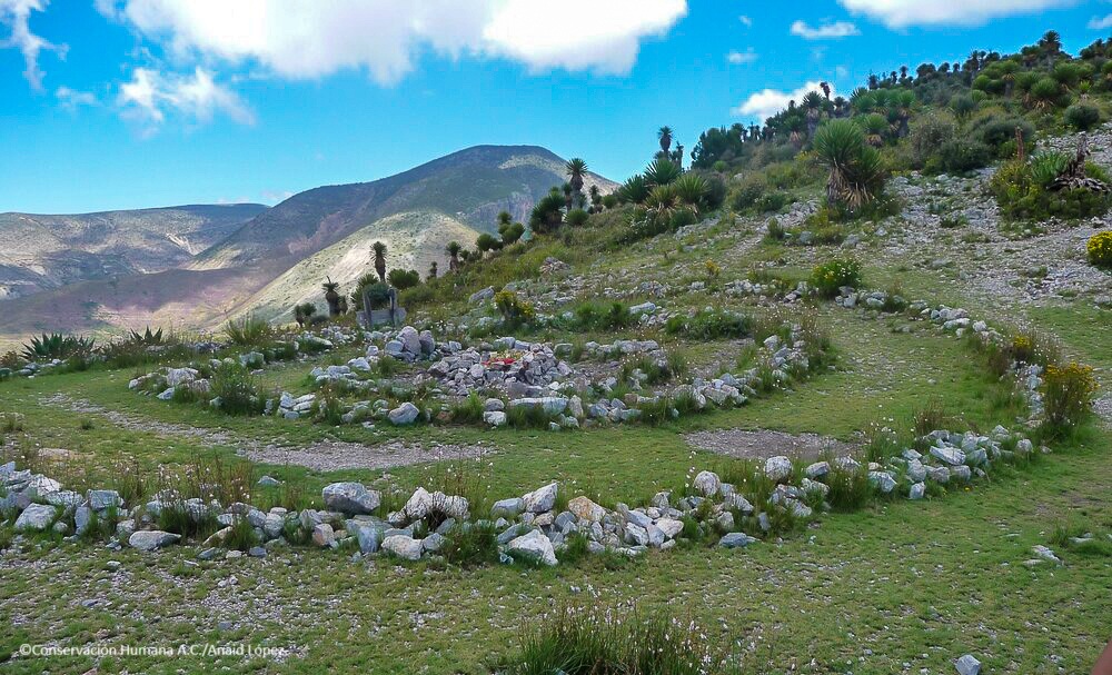 La Ruta #Wixárika es un paisaje cultural de 20 componentes identificados junto con autoridades wixaritari. Abarca más de 500 km desde la costa de Nayarit hasta el Wikicuta, en la Sierra de Catorce en San Luis Potosí, con distintos lugares en Durango, Jalisco y Zacatecas.