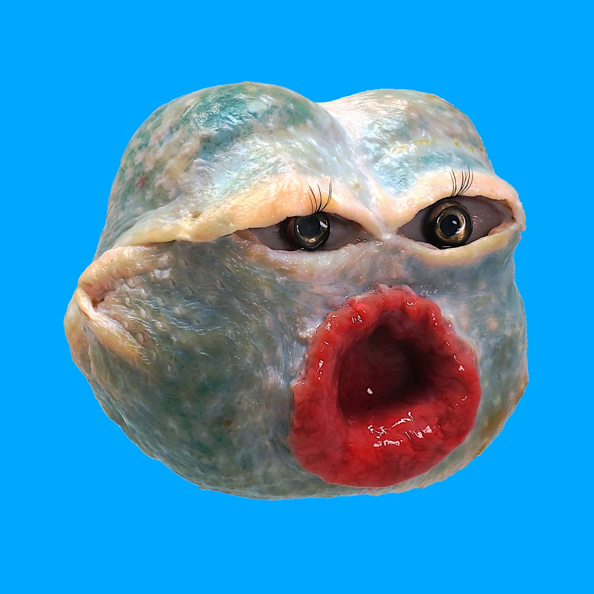 KUGUTSU (@kugutsunft) on Twitter photo PEPE JOYTOY🐸🥩 PEPE JOYTOY🐸🥩