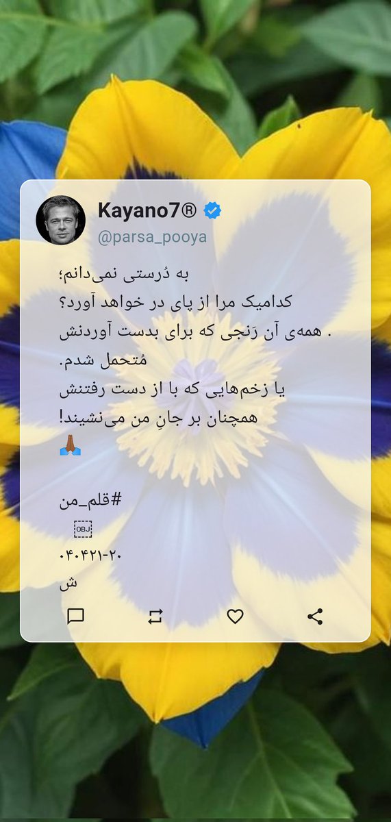 parsa_pooya's tweet image. 