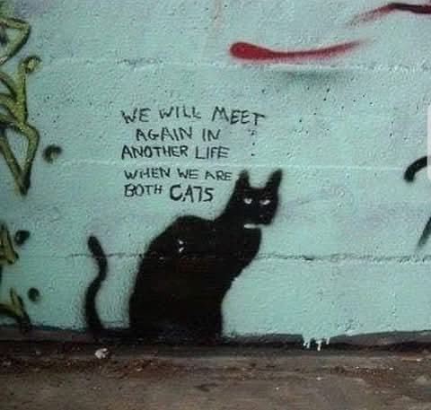 SubversiveUnde1's tweet photo. https://t.co/AiSjVjd8H3