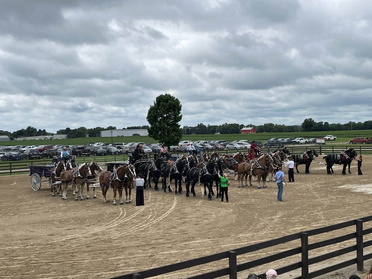 5 teams of 6 amazing to watch